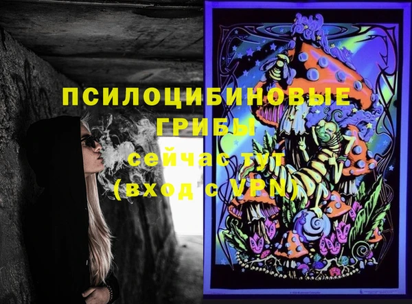 спиды Арсеньев
