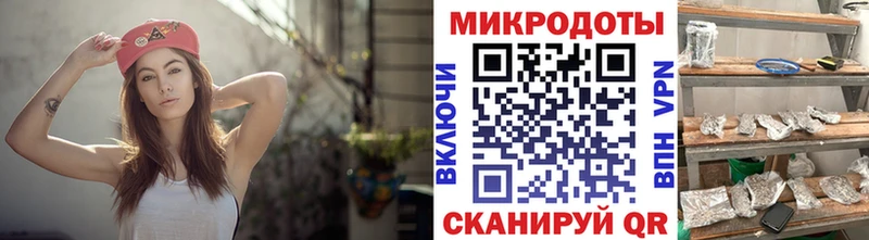 Купить закладки  Плавск  Псилоцибиновые грибы Cubensis 
